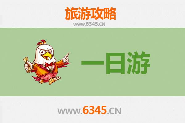 菏泽巨野自驾一日游攻略：探索鲁西古韵与自然风光