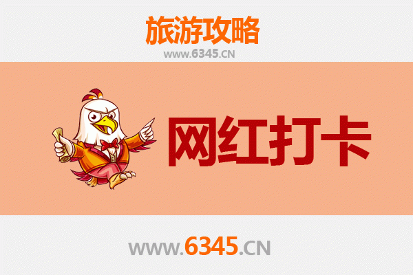 菏泽巨野网红打卡地全攻略：探索鲁西南的隐藏宝藏