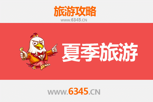 菏泽巨野夏季消暑指南：探寻湿地秘境与汉风古韵